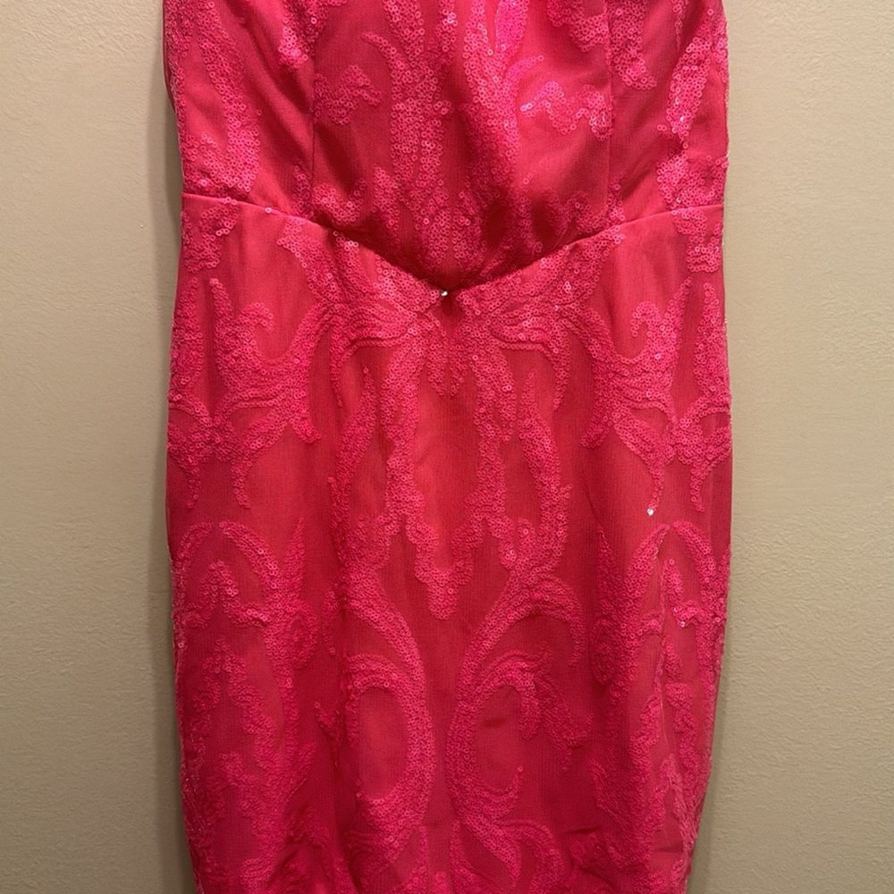 Elegant Pink Lace Dress